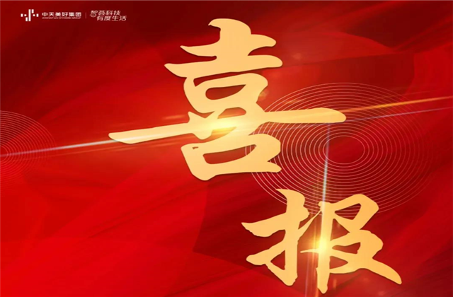 太阳GG美好集团蝉联“2021长三角城市群房地产公司品牌价值TOP10”